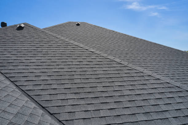 Skylights in Lakeview, GA